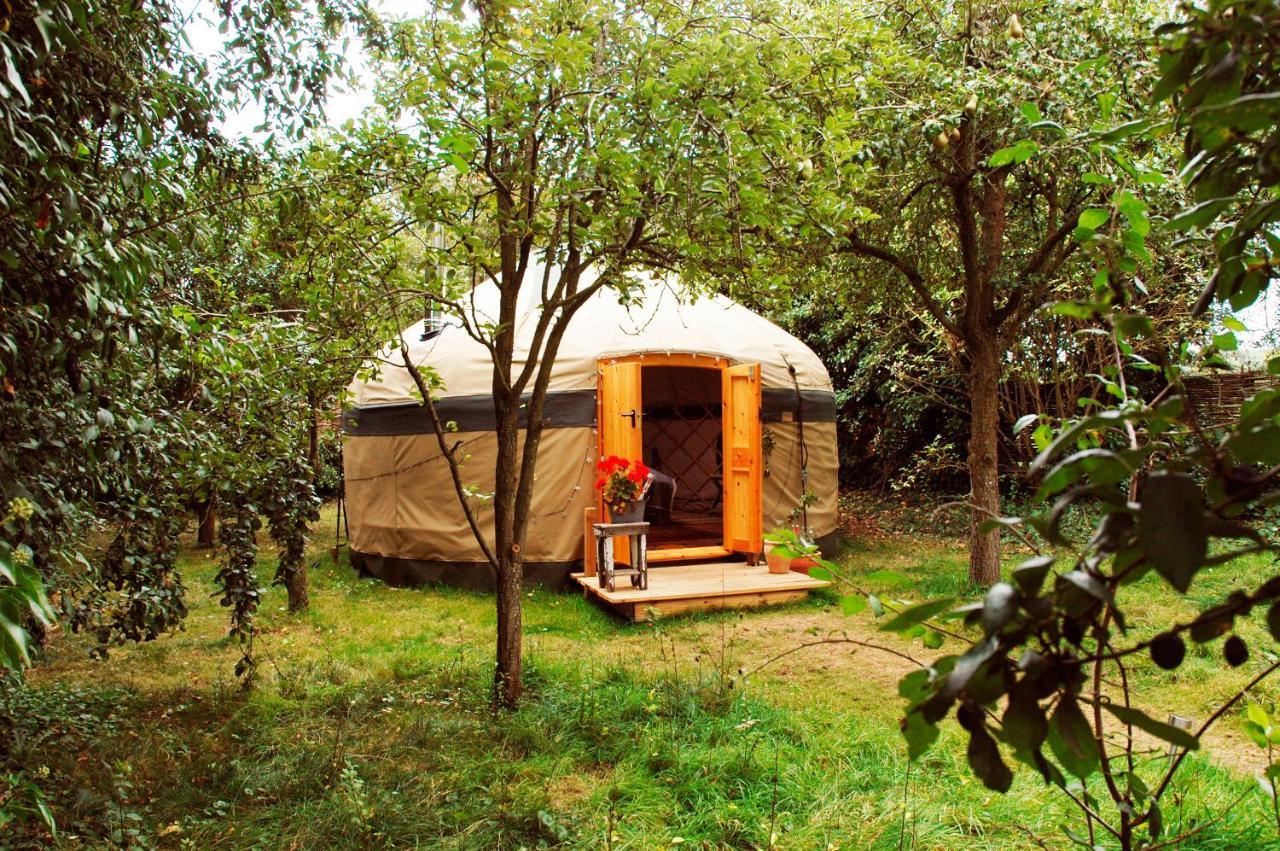 Stamford Meadows Glamping With Private Hot Tubs 호텔 외부 사진