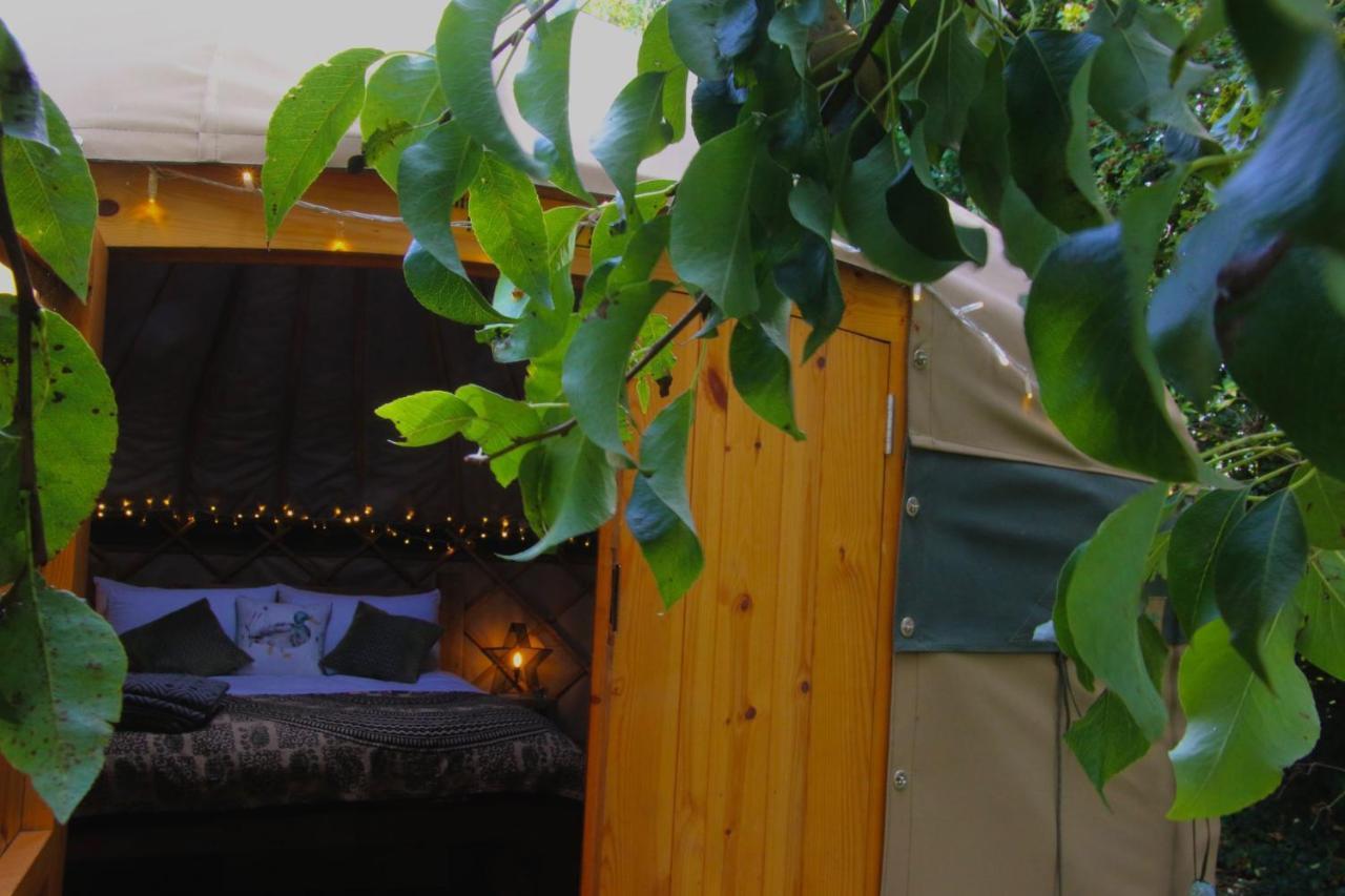 Stamford Meadows Glamping With Private Hot Tubs 호텔 외부 사진